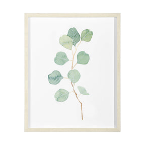 Soft Eucalyptus Branch IV by Emma Scarvey Hand Embellished Framed Art Print Matted under Glass by Mercana at Eve Furniture