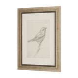 Soft Shadows (Set of 5) by Mercana Studio a Hand Embellished Framed Art Print by Mercana at Eve Furniture