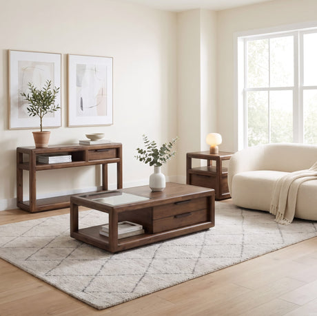 Sol Brown Spice Storage Console Table by Modus Furniture at Eve Furniture