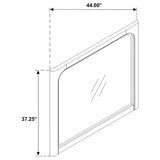 Solano Weathered Mango Dresser Mirror by Coaster at Eve Furniture