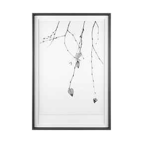 Solo by Rebecca Cozart a Hand Embellished Textured Framed Art Print Matted under Glass by Mercana at Eve Furniture