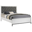 Sonora White Queen Upholstered Panel Bed by Coaster at Eve Furniture