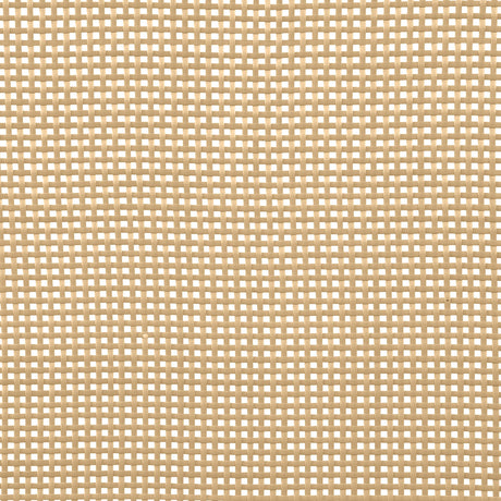 [Special Price] Amherst White Radio Weave Rattan Metal Full Bed by Coaster at Eve Furniture