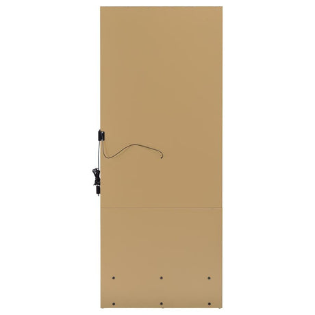 Spector Mango 1-drawer Lighted Full-Length Floor Mirror by Coaster at Eve Furniture