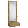 Spector Mango 1-drawer Lighted Full-Length Floor Mirror by Coaster at Eve Furniture