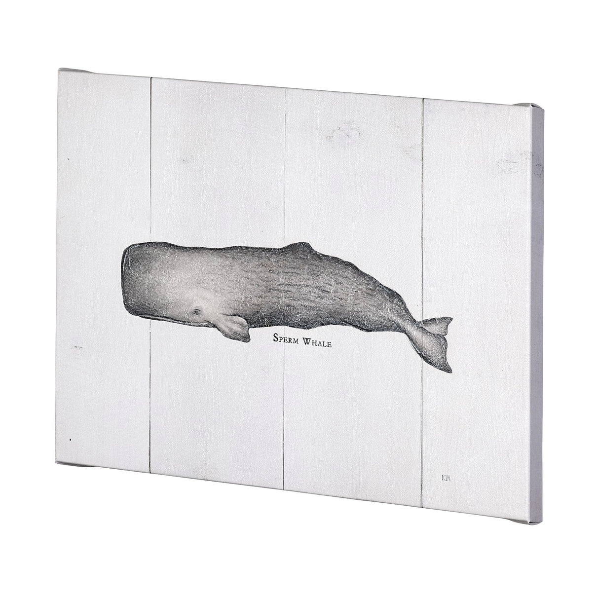 Sperm Whale by Mercana Studio a Hand Embellished Textured Canvas by Mercana at Eve Furniture