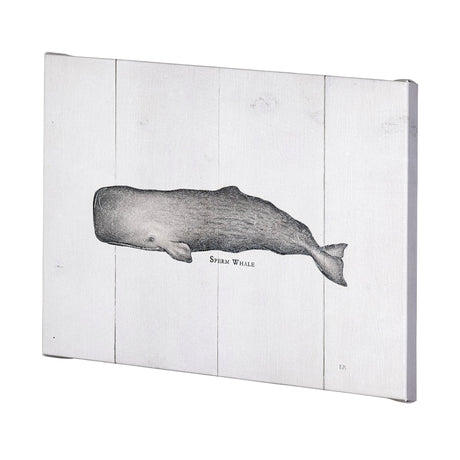 Sperm Whale by Mercana Studio a Hand Embellished Textured Canvas by Mercana at Eve Furniture