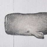 Sperm Whale by Mercana Studio a Hand Embellished Textured Canvas by Mercana at Eve Furniture