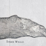 Sperm Whale by Mercana Studio a Hand Embellished Textured Canvas by Mercana at Eve Furniture