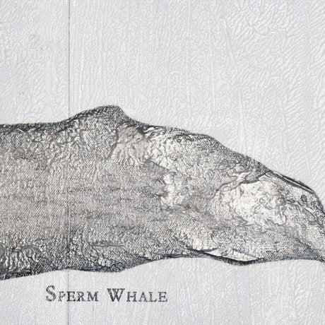 Sperm Whale by Mercana Studio a Hand Embellished Textured Canvas by Mercana at Eve Furniture