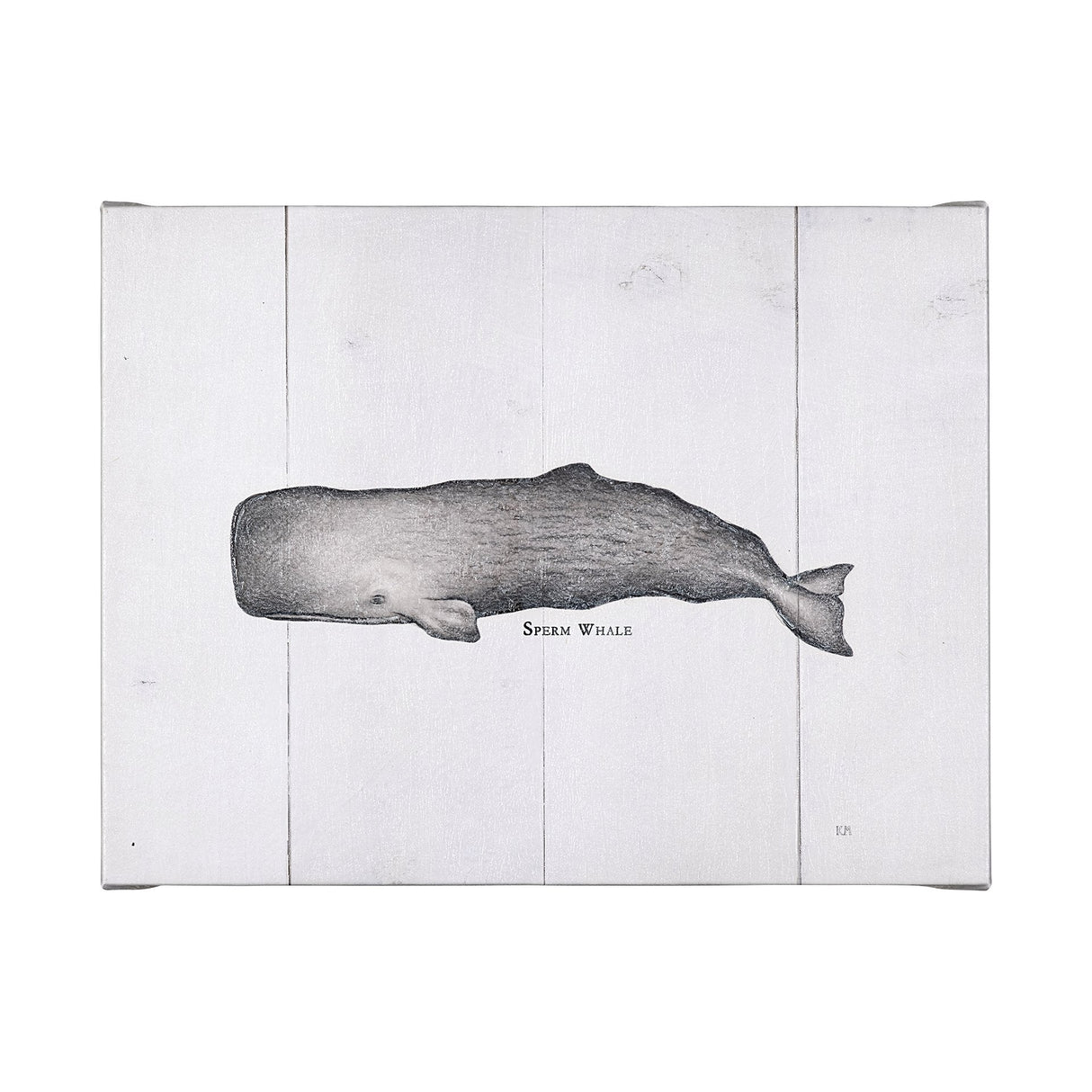 Sperm Whale by Mercana Studio a Hand Embellished Textured Canvas by Mercana at Eve Furniture