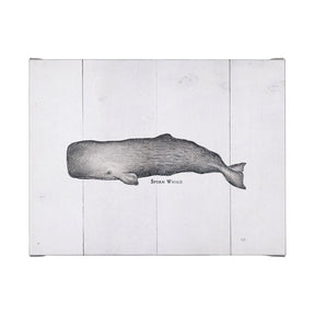 Sperm Whale by Mercana Studio a Hand Embellished Textured Canvas by Mercana at Eve Furniture