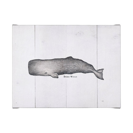 Sperm Whale by Mercana Studio a Hand Embellished Textured Canvas by Mercana at Eve Furniture