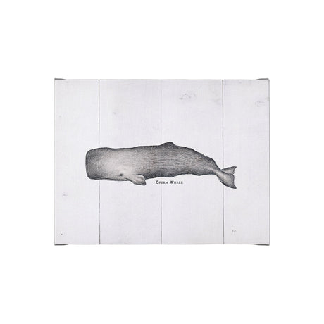 Sperm Whale by Mercana Studio a Hand Embellished Textured Canvas by Mercana at Eve Furniture