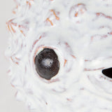 Spike II (Large) 10L x 6W Off-White Ceramic Puffer Fish by Mercana at Eve Furniture
