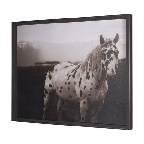 Spotted Solo Horse by Nathan Kane a Hand Embelished Textured Framed Photo Art Print by Mercana at Eve Furniture
