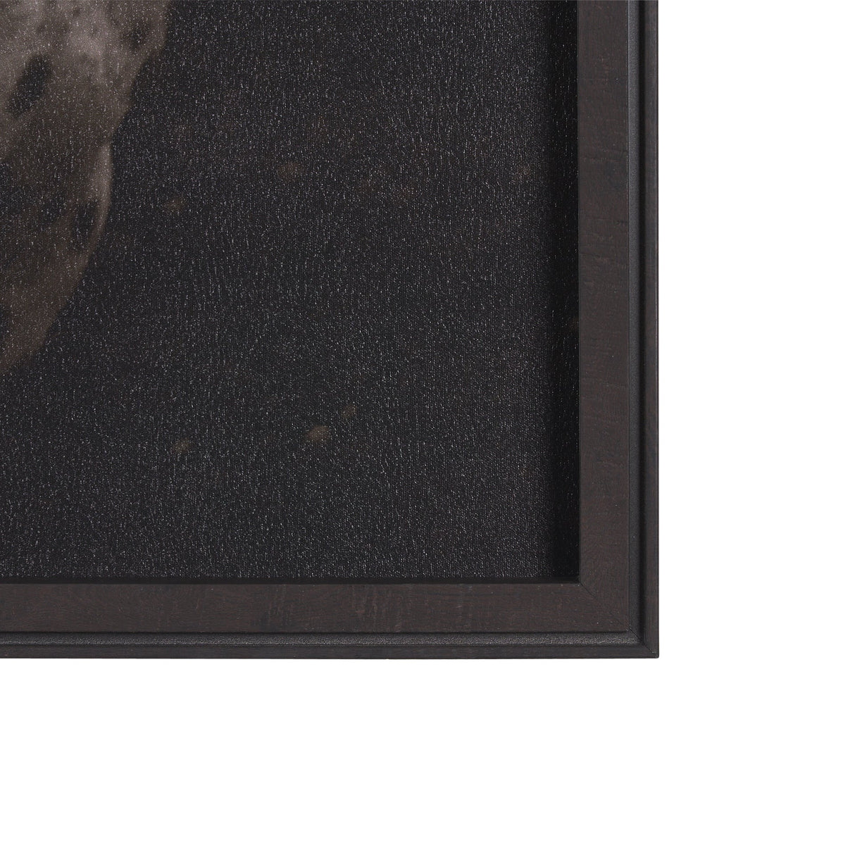 Spotted Solo Horse by Nathan Kane a Hand Embelished Textured Framed Photo Art Print by Mercana at Eve Furniture