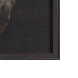 Spotted Solo Horse by Nathan Kane a Hand Embelished Textured Framed Photo Art Print by Mercana at Eve Furniture
