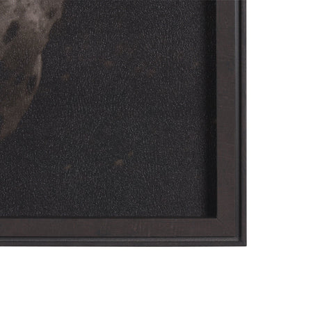 Spotted Solo Horse by Nathan Kane a Hand Embelished Textured Framed Photo Art Print by Mercana at Eve Furniture