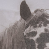 Spotted Solo Horse by Nathan Kane a Hand Embelished Textured Framed Photo Art Print by Mercana at Eve Furniture