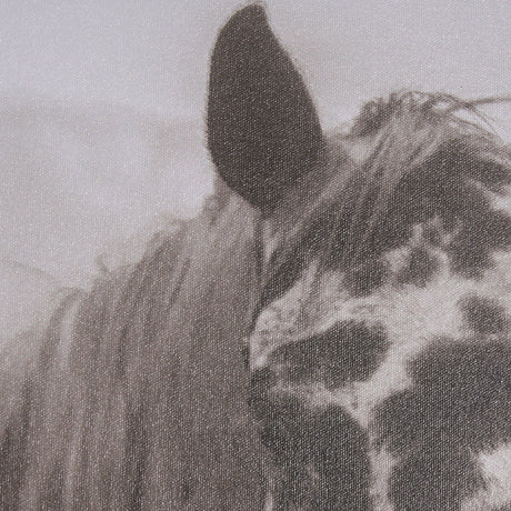 Spotted Solo Horse by Nathan Kane a Hand Embelished Textured Framed Photo Art Print by Mercana at Eve Furniture