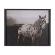 Spotted Solo Horse by Nathan Kane a Hand Embelished Textured Framed Photo Art Print by Mercana at Eve Furniture