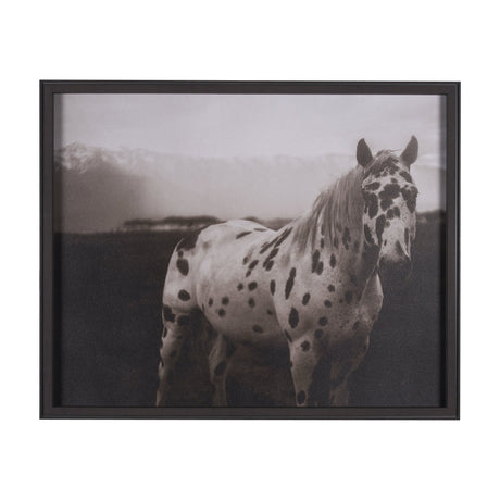 Spotted Solo Horse by Nathan Kane a Hand Embelished Textured Framed Photo Art Print by Mercana at Eve Furniture