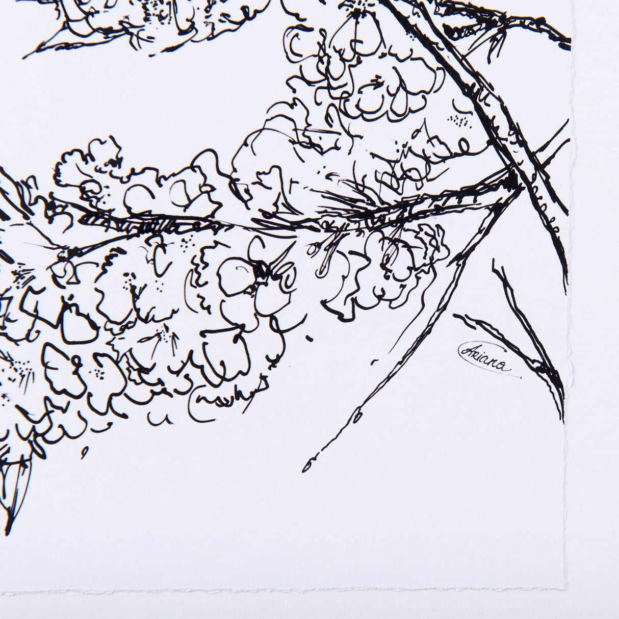 Spring Blooming V by Mercana Studio a Hand Embellished Textured Framed Art Print Matted under Glass by Mercana at Eve Furniture