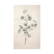 Spring Gestures II by Gabrielle Crawford a Hand Embellished Textured Canvas by Mercana at Eve Furniture