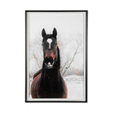 Stable Brown Horse by Chelsea Victoria Hand Embellished Textured Framed Photo Art Print Matted unde by Mercana at Eve Furniture