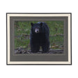 Standing Bear by Chad Mackay a Hand Embellished Textured Framed Photo Art Print Matted under Glass by Mercana at Eve Furniture