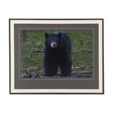 Standing Bear by Chad Mackay a Hand Embellished Textured Framed Photo Art Print Matted under Glass by Mercana at Eve Furniture