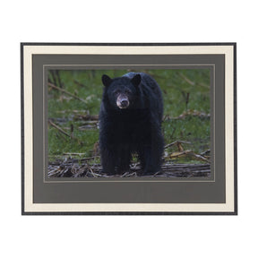 Standing Bear by Chad Mackay a Hand Embellished Textured Framed Photo Art Print Matted under Glass by Mercana at Eve Furniture