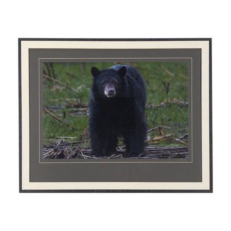 Standing Bear by Chad Mackay a Hand Embellished Textured Framed Photo Art Print Matted under Glass by Mercana at Eve Furniture