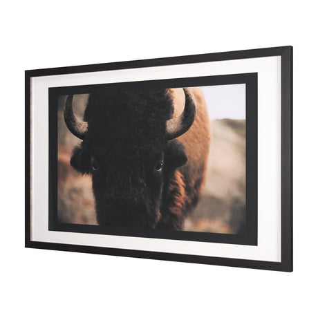Stare Down by Chad Mackay a Hand Embelished Textured Framed Photo Art Print Matted under Glass by Mercana at Eve Furniture