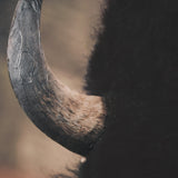 Stare Down by Chad Mackay a Hand Embelished Textured Framed Photo Art Print Matted under Glass by Mercana at Eve Furniture