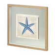 Starfish Pages by Christopher James a Hand Embellished Textured Framed Art Print Matted under Glass by Mercana at Eve Furniture