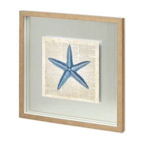 Starfish Pages by Christopher James a Hand Embellished Textured Framed Art Print Matted under Glass by Mercana at Eve Furniture