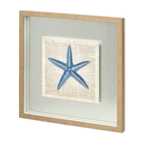 Starfish Pages by Christopher James a Hand Embellished Textured Framed Art Print Matted under Glass by Mercana at Eve Furniture