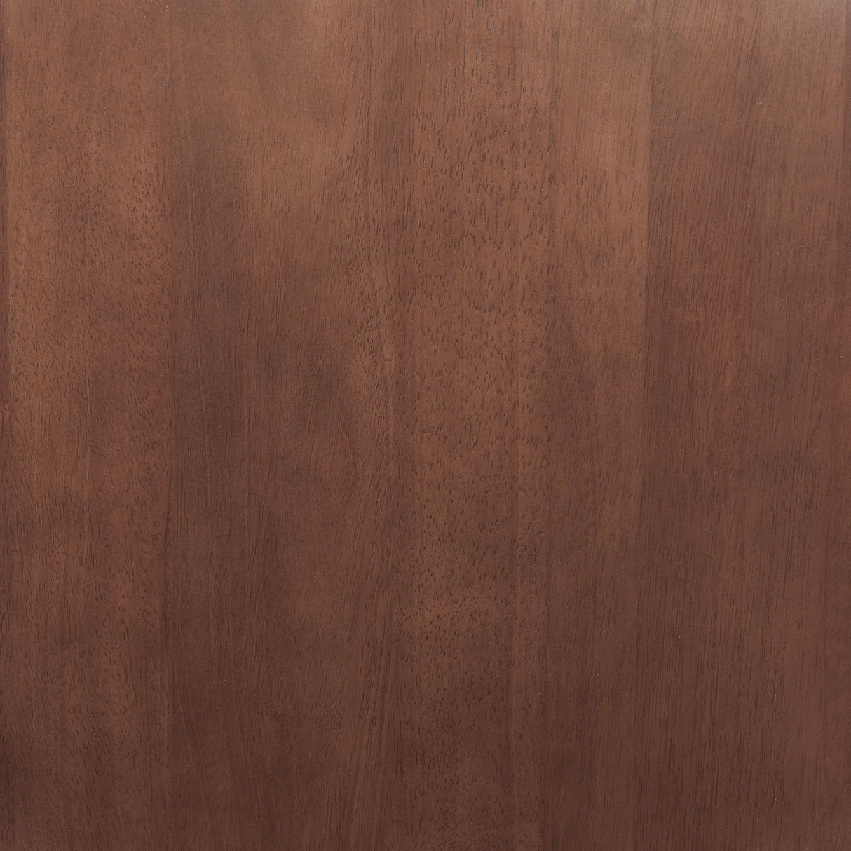 Stenger Walnut Dining Chair (Set of 2) by Zuomod at Eve Furniture