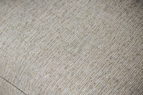 Stephney Gray/Gold Sofa & Loveseat by Furniture of America at Eve Furniture