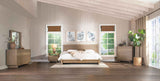 Stillwater Oak 5-Piece Queen Bedroom Set by Coaster at Eve Furniture