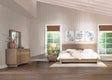 Stillwater Weathered Oak 4-Piece Eastern King Bedroom Set by Coaster at Eve Furniture