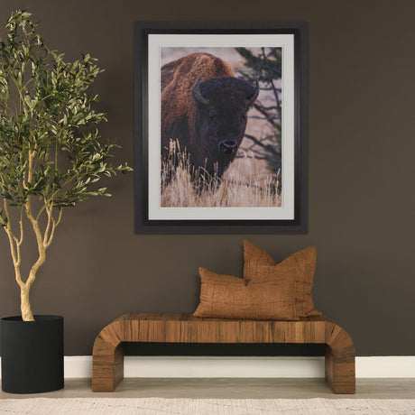 Stop Horsing Around by Gary Blatter Hand Embelished Framed Art Print Matted under Glass by Mercana at Eve Furniture