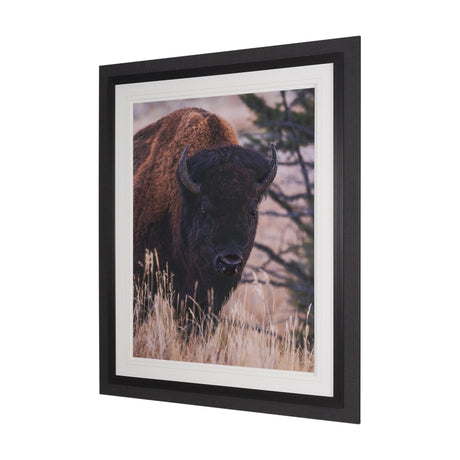 Stop Horsing Around by Gary Blatter Hand Embelished Framed Art Print Matted under Glass by Mercana at Eve Furniture