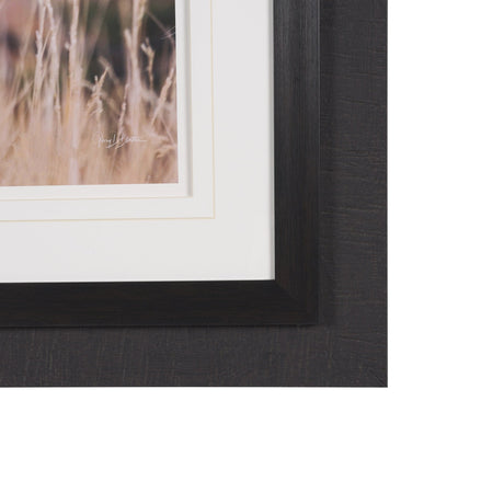 Stop Horsing Around by Gary Blatter Hand Embelished Framed Art Print Matted under Glass by Mercana at Eve Furniture
