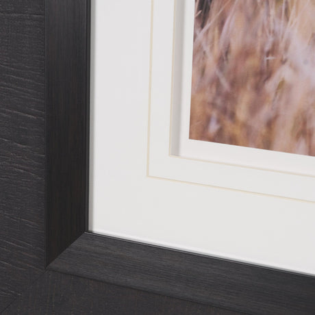 Stop Horsing Around by Gary Blatter Hand Embelished Framed Art Print Matted under Glass by Mercana at Eve Furniture