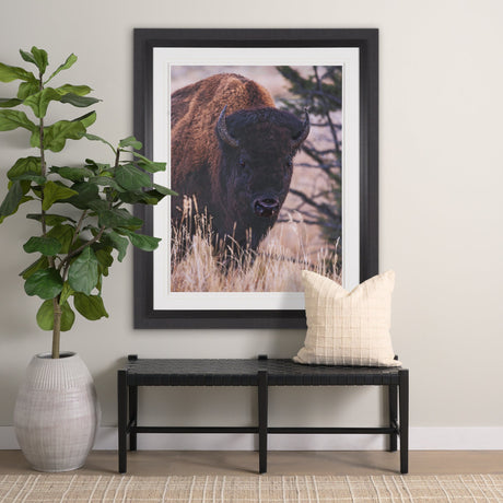 Stop Horsing Around by Gary Blatter Hand Embelished Framed Art Print Matted under Glass by Mercana at Eve Furniture
