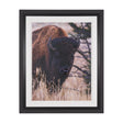Stop Horsing Around by Gary Blatter Hand Embelished Framed Art Print Matted under Glass by Mercana at Eve Furniture