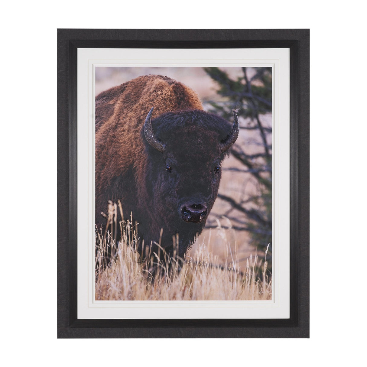 Stop Horsing Around by Gary Blatter Hand Embelished Framed Art Print Matted under Glass by Mercana at Eve Furniture